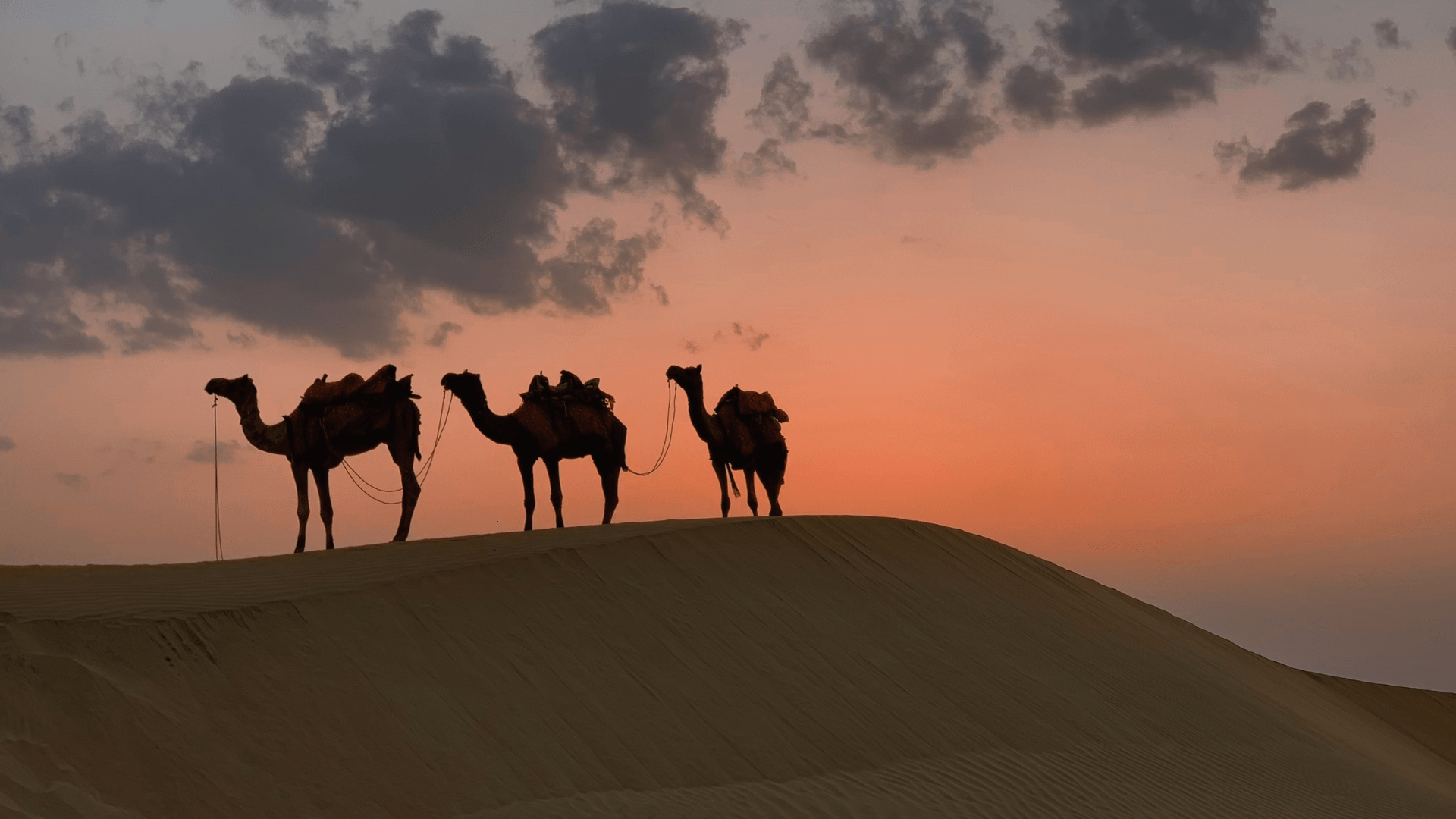 Désert du Sahara